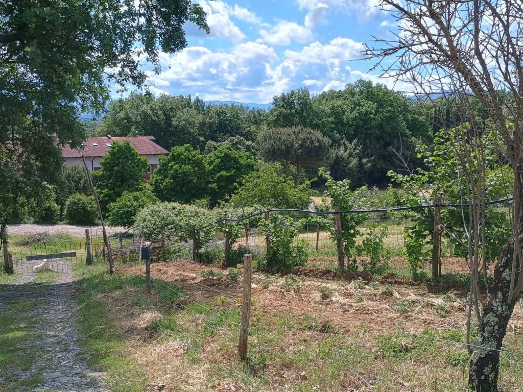 Rustico / casale a Scarperia e san piero in Autodromo del Mugello - Foto 2