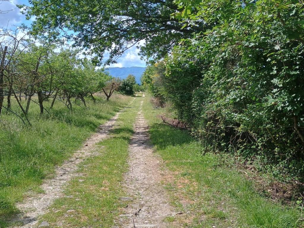 Rustico / casale a Scarperia e san piero in Autodromo del Mugello - Foto 3