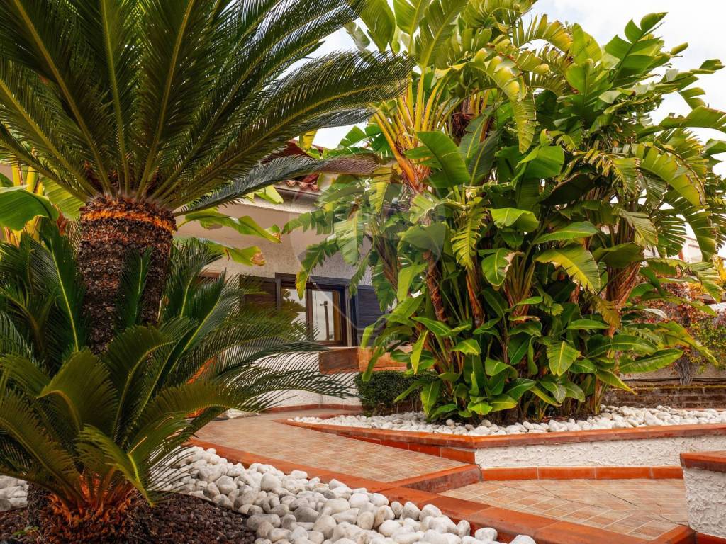 Villa a Valenzano in Via Caracciolo, 12 - Foto 3