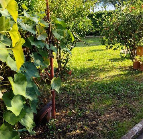 Casa indipendente a Velletri in Via Dei 5 Archi - Foto 4