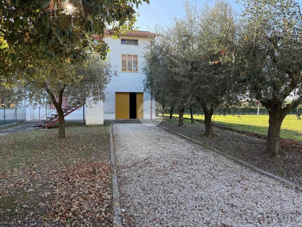 Casa indipendente a Fano in Località Bellocchi - Foto 2