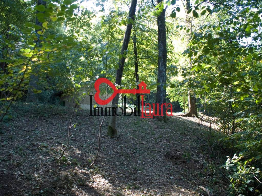 Terreno a Besano in Via Bellotti - Foto 4