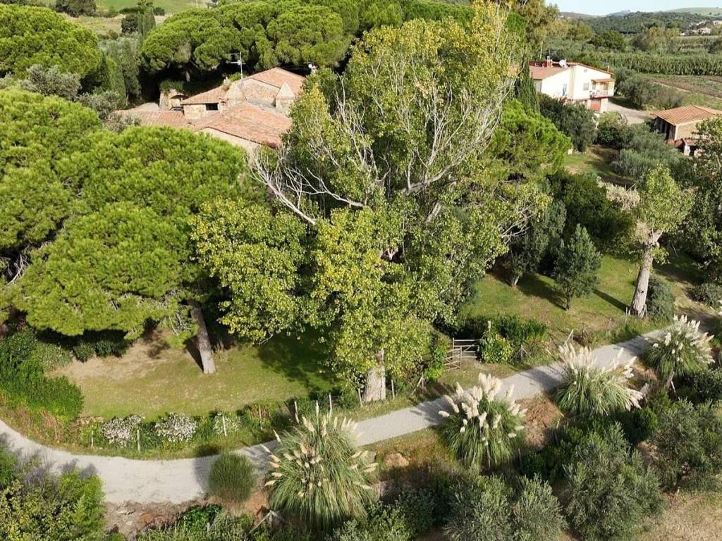 Rustico / casale a Capalbio in Strada Pescia Fiorentina Chiarone, 9 - Foto 3