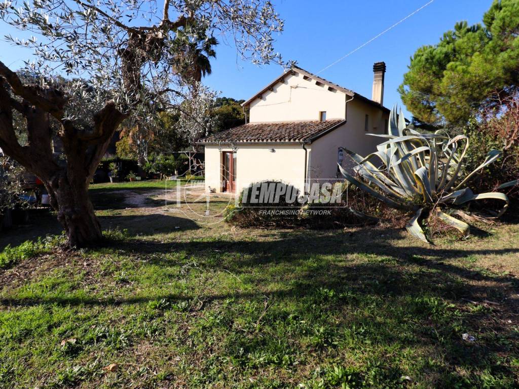 Casa indipendente a Massignano in Contrada Montecantino 37 - Foto 3