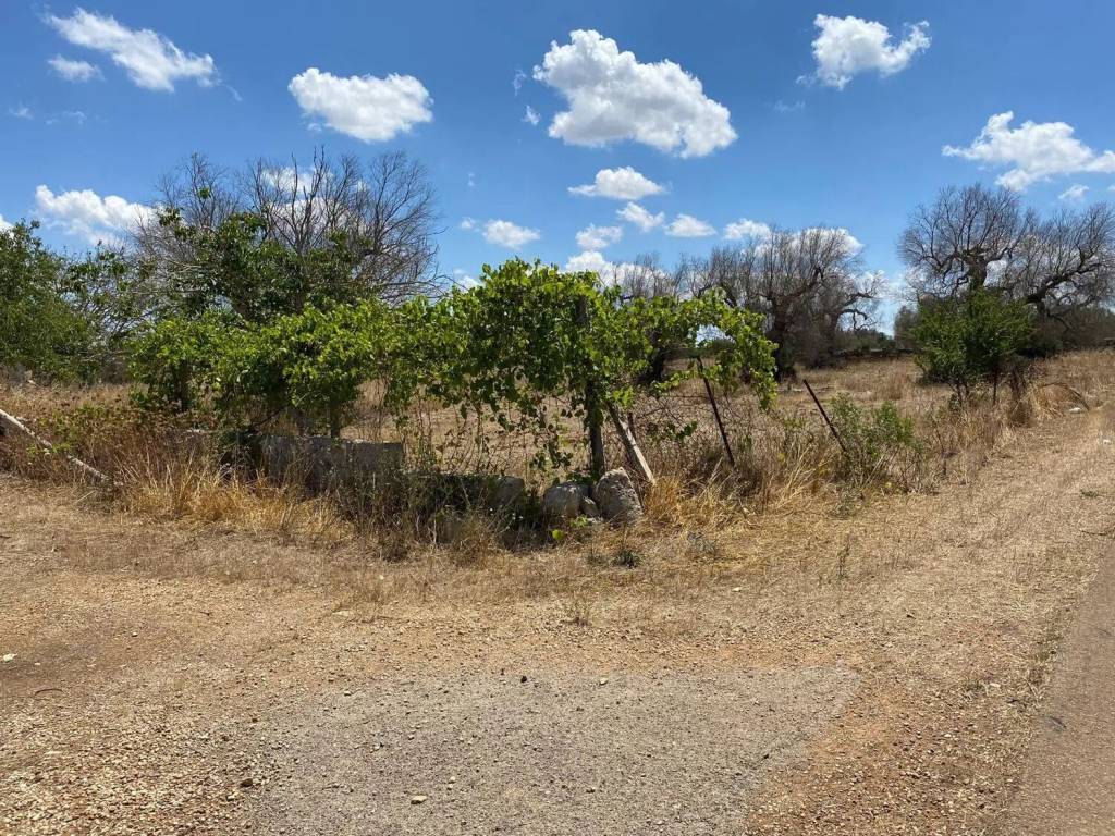 Villa a Nardò in Sp 110 - Foto 3