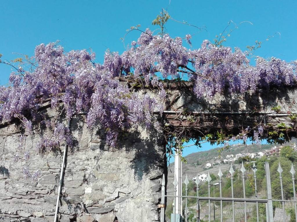 Villa a Sondrio in Via Emilio Visconti Venosta, 16 - Foto 5