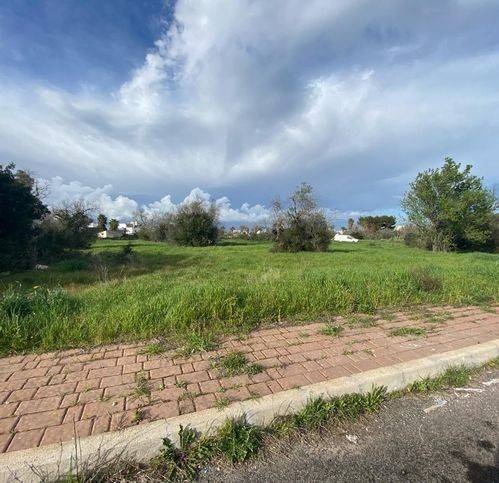 Terreno a Neviano in Strada Fortunata - Foto 4