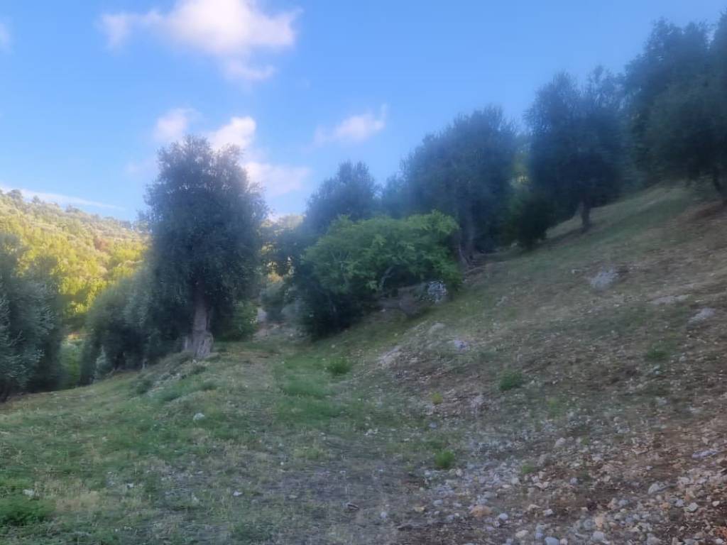 Terreno a Peschici in CONTRADA VALLE CASTELLANA - Foto 2