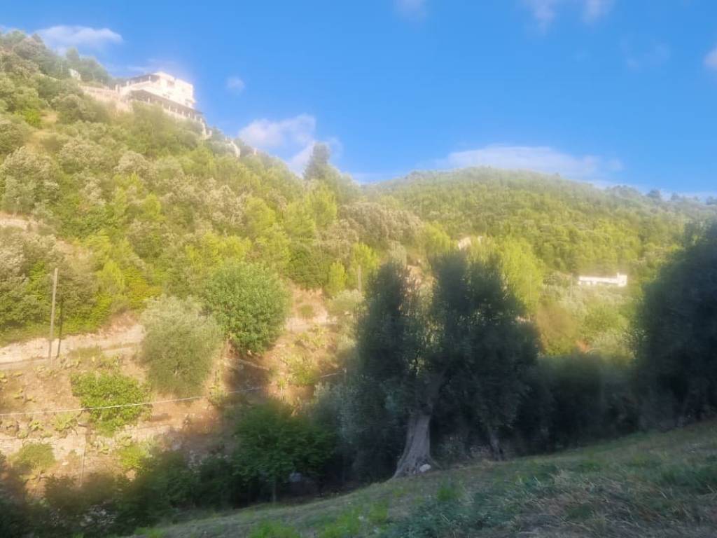 Terreno a Peschici in CONTRADA VALLE CASTELLANA - Foto 3