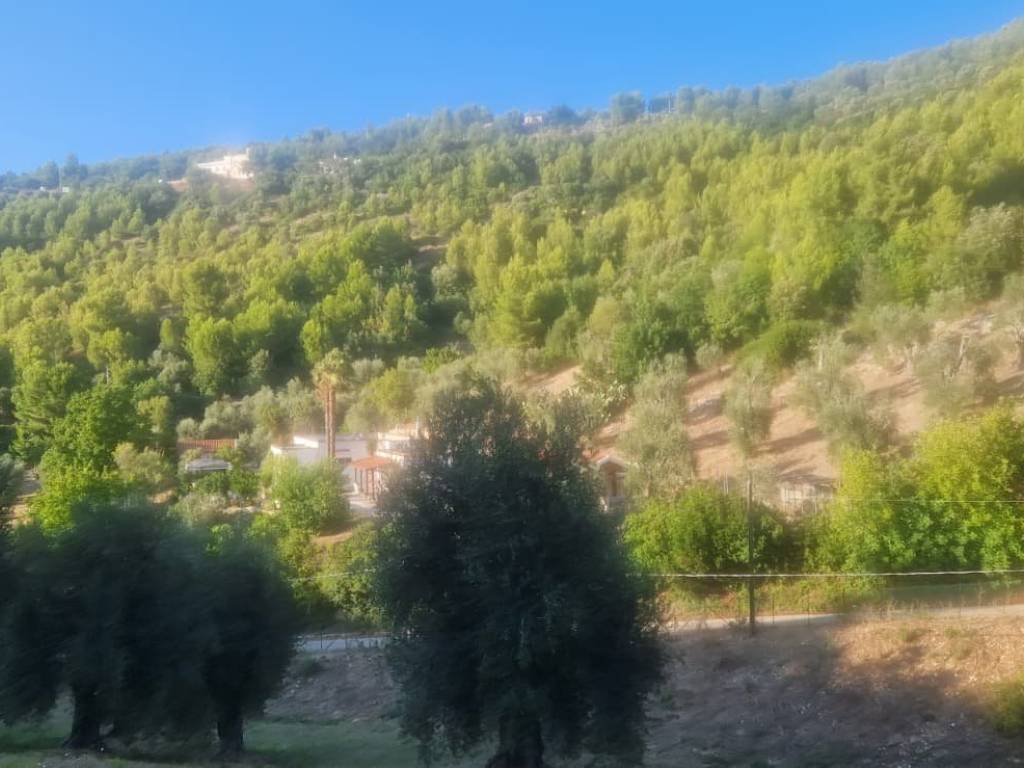 Terreno a Peschici in CONTRADA VALLE CASTELLANA - Foto 4