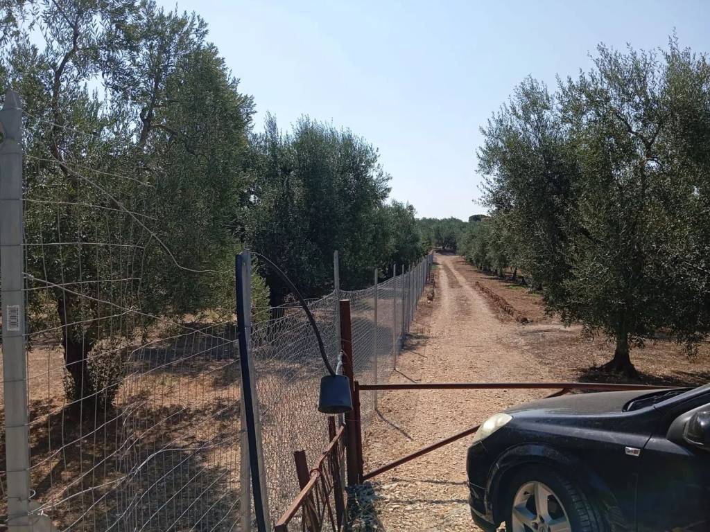 Terreno a Trani in Via Del Serrone - Foto 2