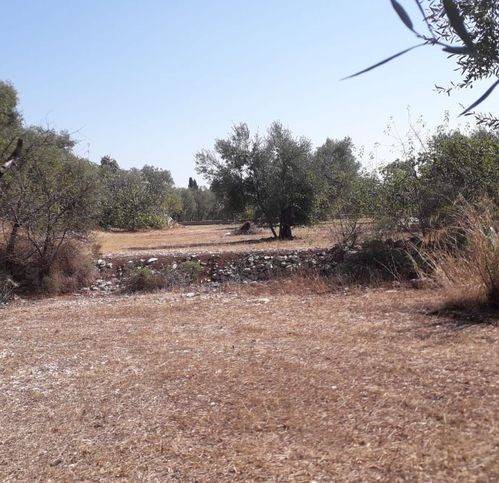 Terreno a Trani in Via Di Valle Luna - Foto 2