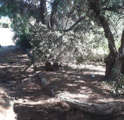 Terreno a Trani in Via Di Valle Luna - Foto 4