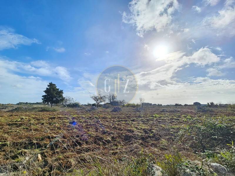 Terreno a Martano in Strada Vicinale Capasa, 6 - Foto 3