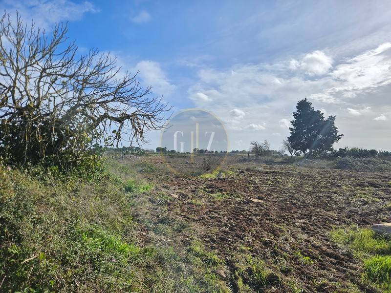 Terreno a Martano in Strada Vicinale Capasa, 6 - Foto 4