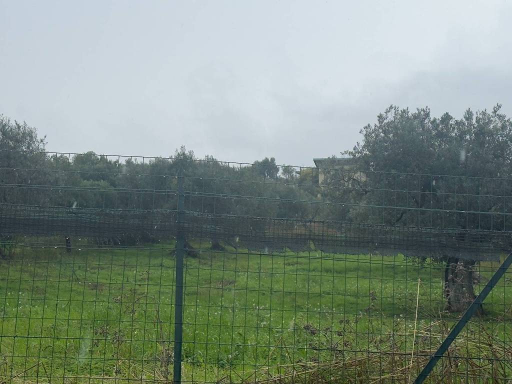 Terreno a Vasto in Via Montevecchio - Foto 4