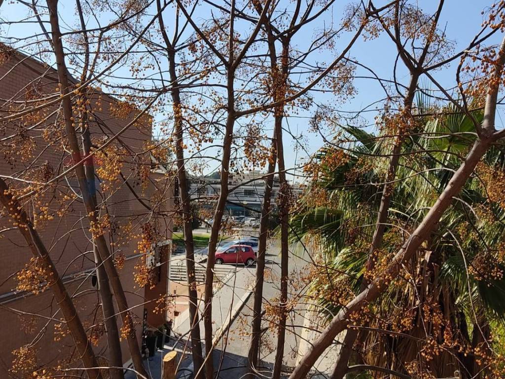 Appartamento a Sabaudia - Foto 4