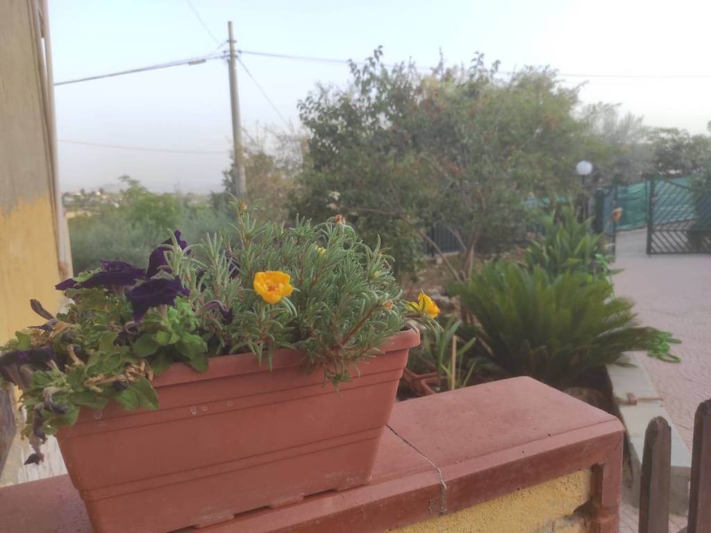 Villa a Caltanissetta in CONTRADA SAVARINO - Foto 4