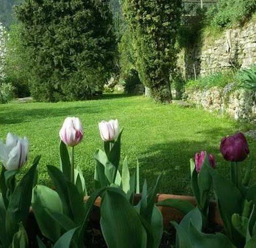 Rustico / casale a Buti - Foto 3