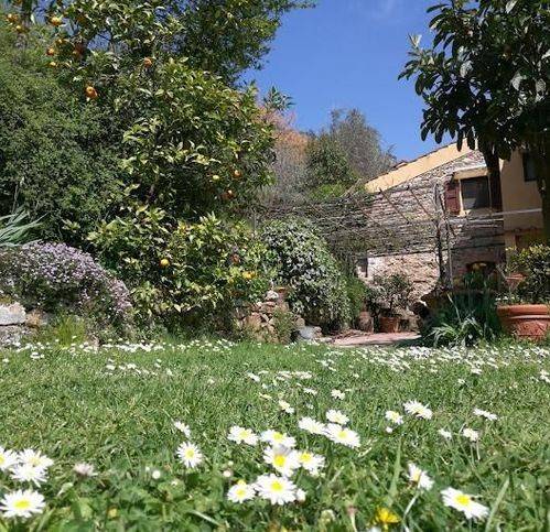 Rustico / casale a Buti - Foto 5