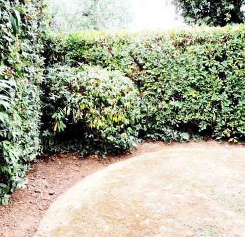 Villa a Pontedera - Foto 4