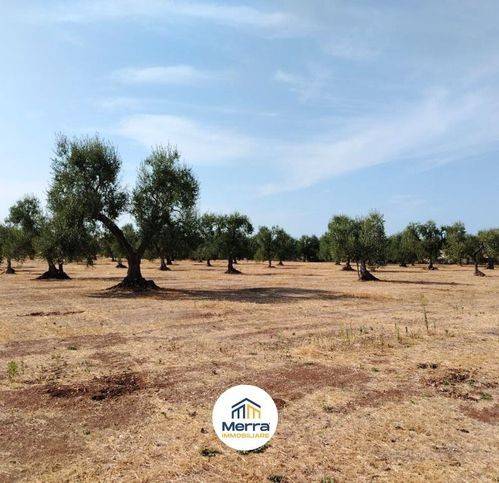 Terreno a Corato in Contrada Polvere Di Rose - Foto 2