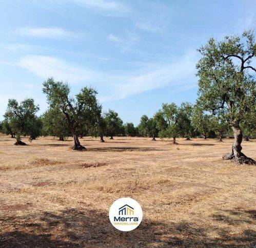 Terreno a Corato in Contrada Polvere Di Rose - Foto 3