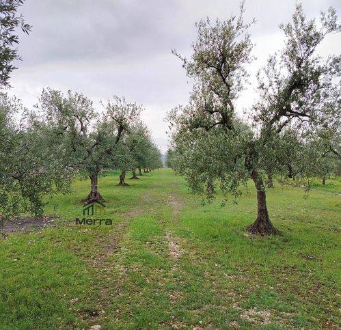 Villa a Corato in Strada Esterna Viale Capra Fatua - Foto 5