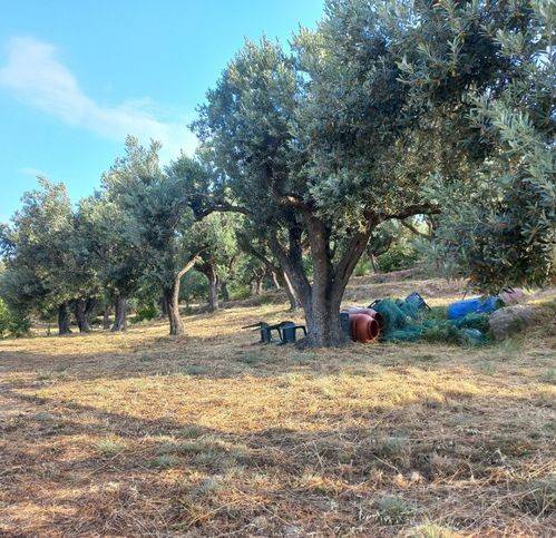 Terreno a Mondragone in Località Colombrella - Foto 3