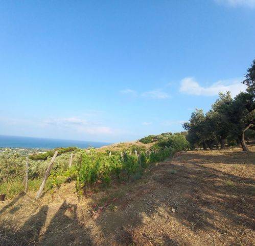 Terreno a Mondragone in Località Colombrella - Foto 4