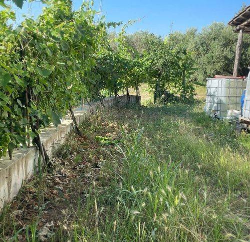 Rustico / casale a Teano in Via Fontana Vecchia 14 - Foto 5