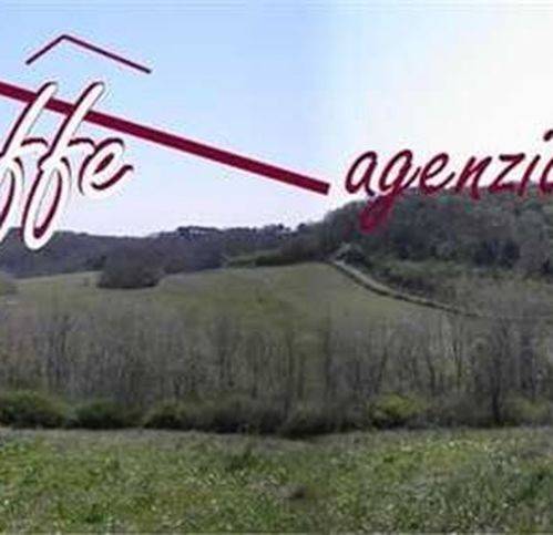 Rustico / casale a San miniato - Foto 4