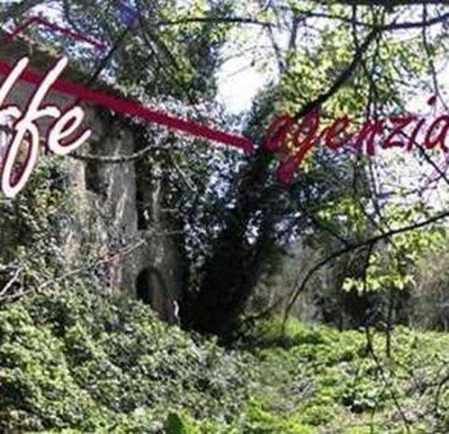 Rustico / casale a San miniato - Foto 5