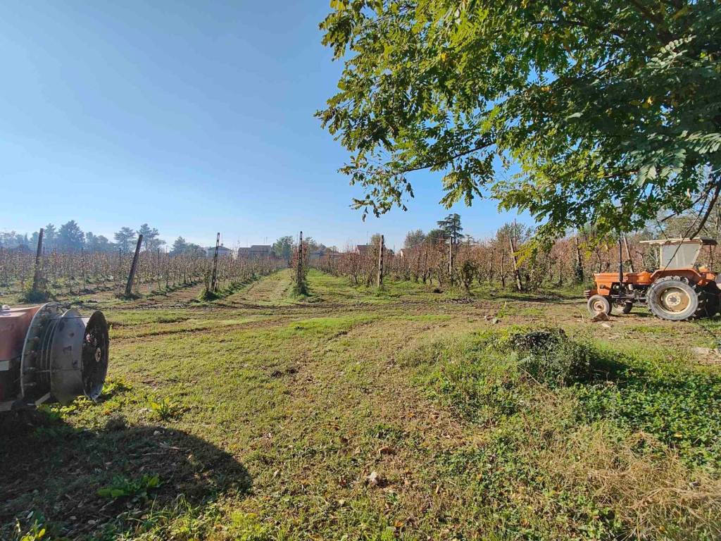 Terreno a Bondeno in Ponte rodoni - Foto 2