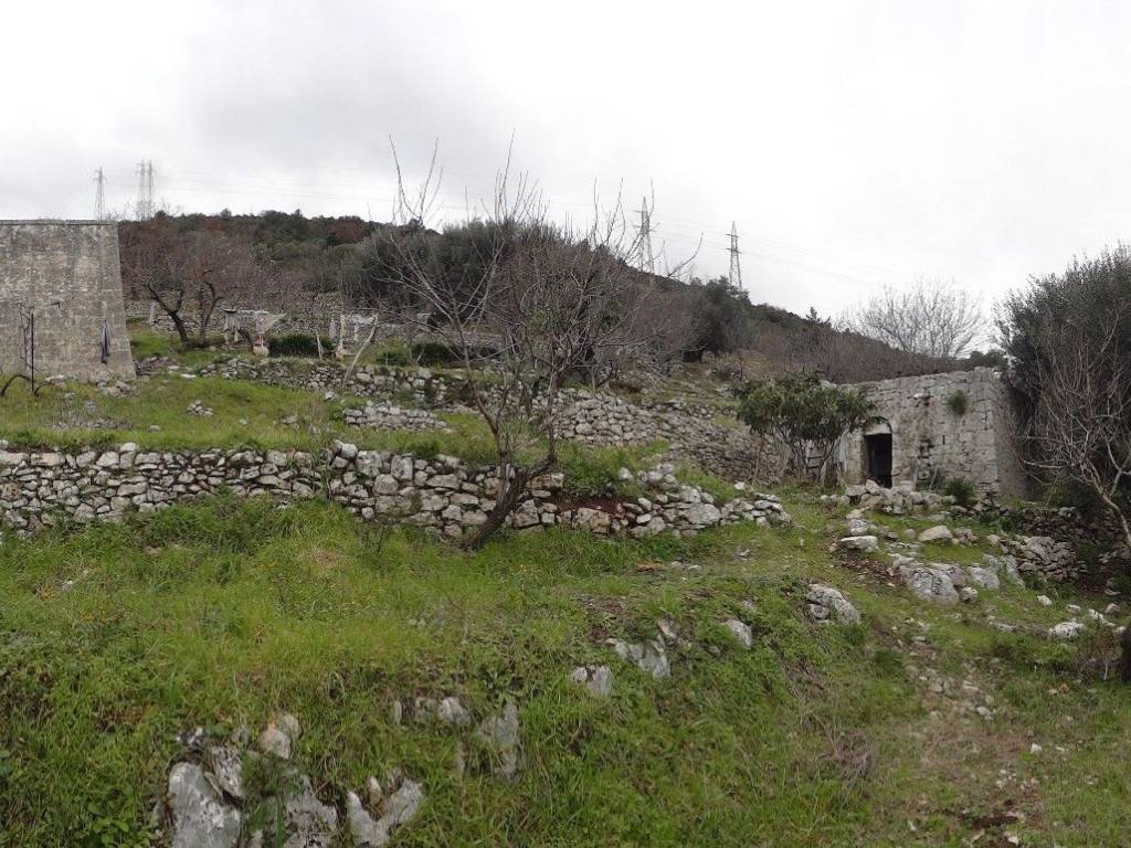 Rustico / casale a Fasano in Fasano - Foto 3