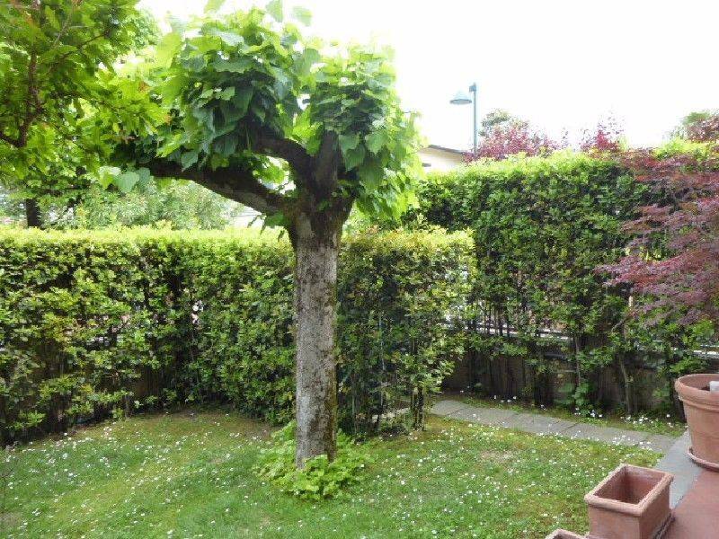 Villa a Forte dei marmi in Via A. Ponchielli - Foto 2