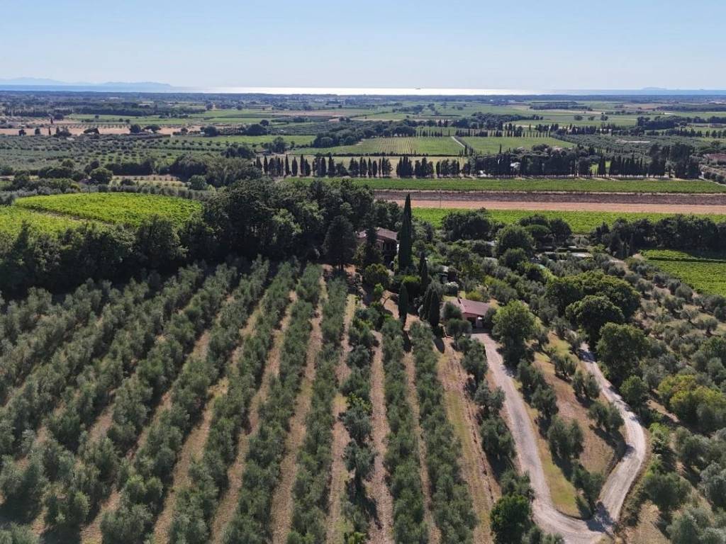 Villa a Castagneto carducci in Località Murrotto, - Foto 2