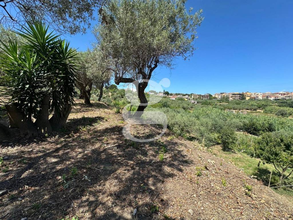 Casa indipendente a San filippo del mela in contrada margione, SNC - Foto 3