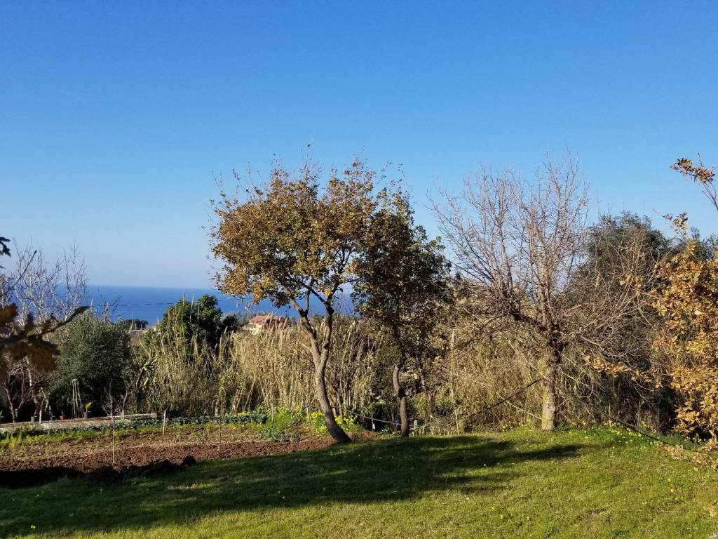 Villa a Ricadi - Foto 2