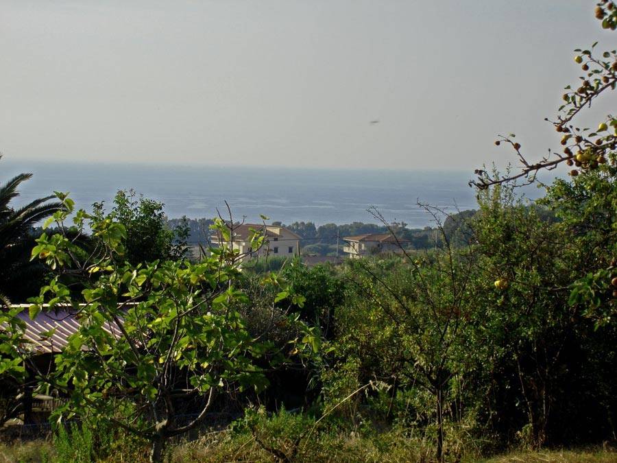 Villa a Ricadi - Foto 5