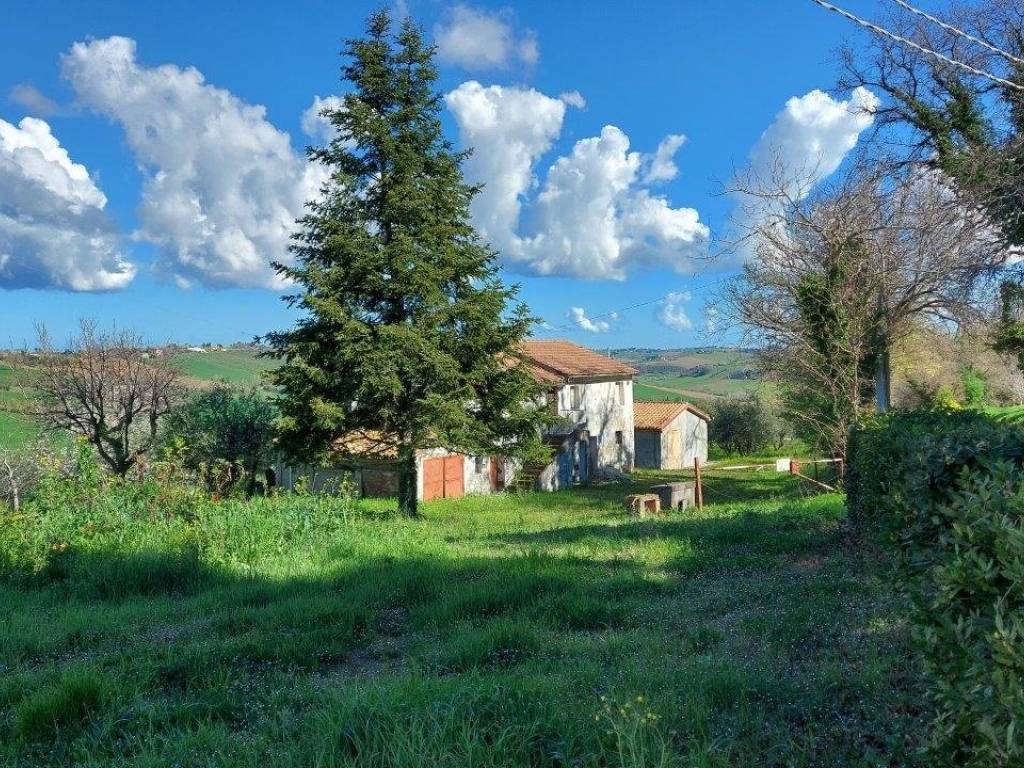 Rustico / casale a Belvedere ostrense in Via Monte della Serra, 25 - Foto 4