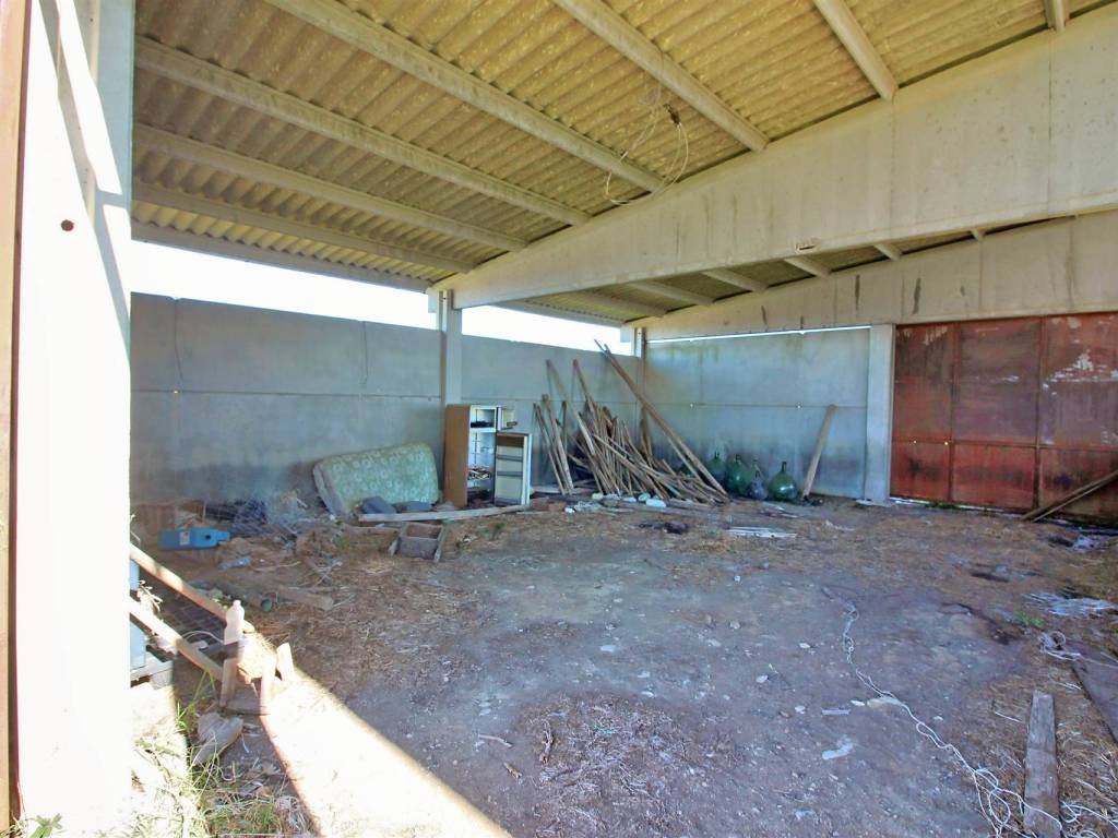 Immobile a Scansano - Foto 4