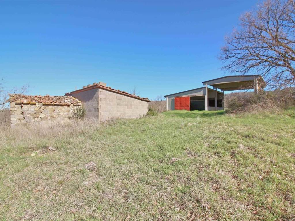 Immobile a Scansano - Foto 5