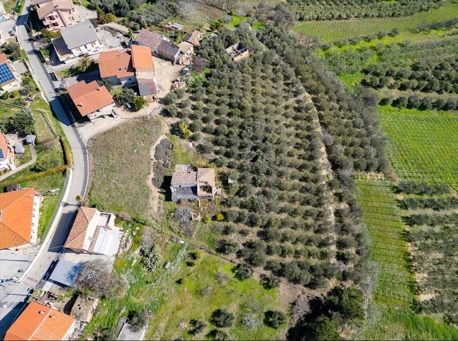 Terreno a Ripa teatina - Foto 2