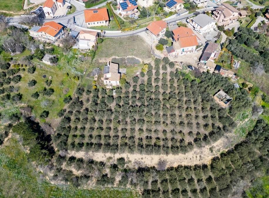 Terreno a Ripa teatina - Foto 3