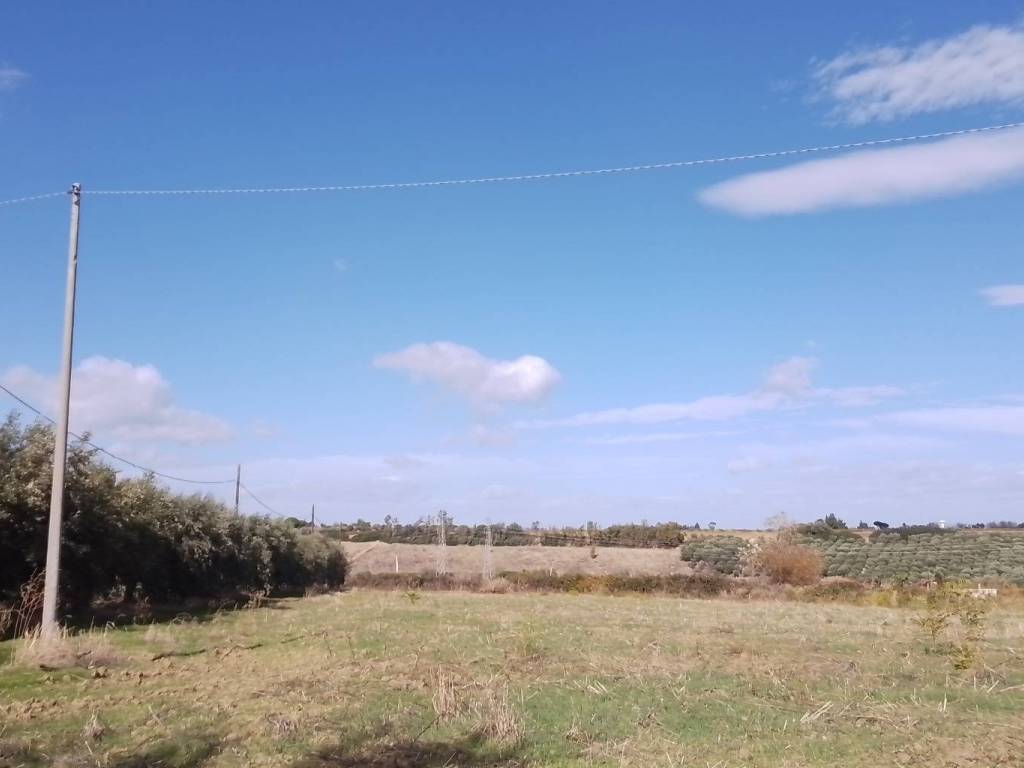 Terreno a Nova siri in Via Regio Tratturo - Foto 3