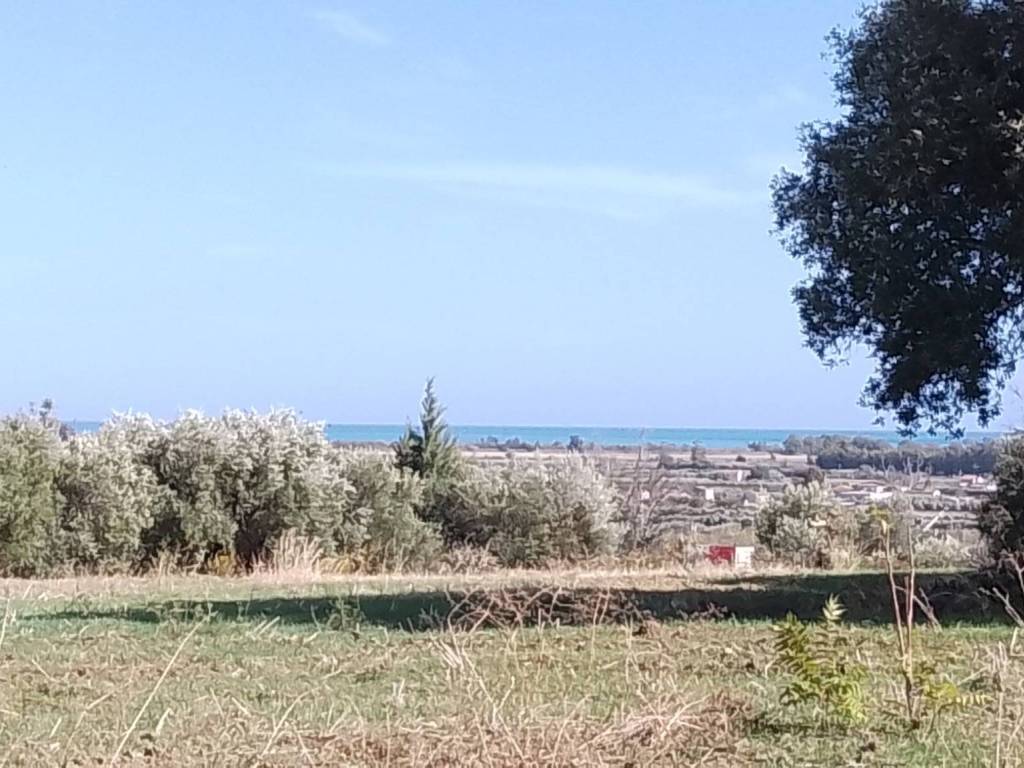 Terreno a Nova siri in Via Regio Tratturo - Foto 5