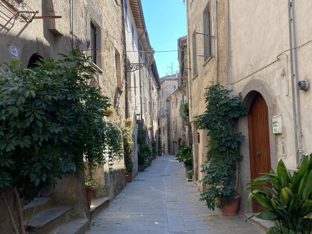 Appartamento a Marta in Via Amalasunta - Foto 4