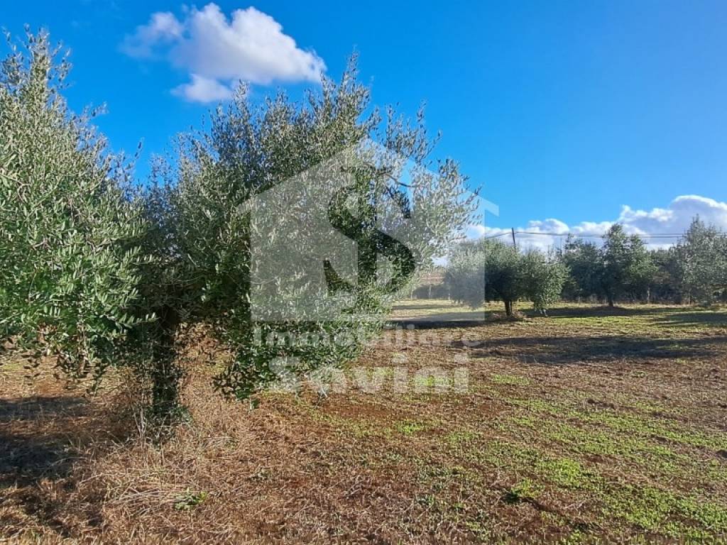 Terreno a Lanuvio in Via Solonio - Foto 2