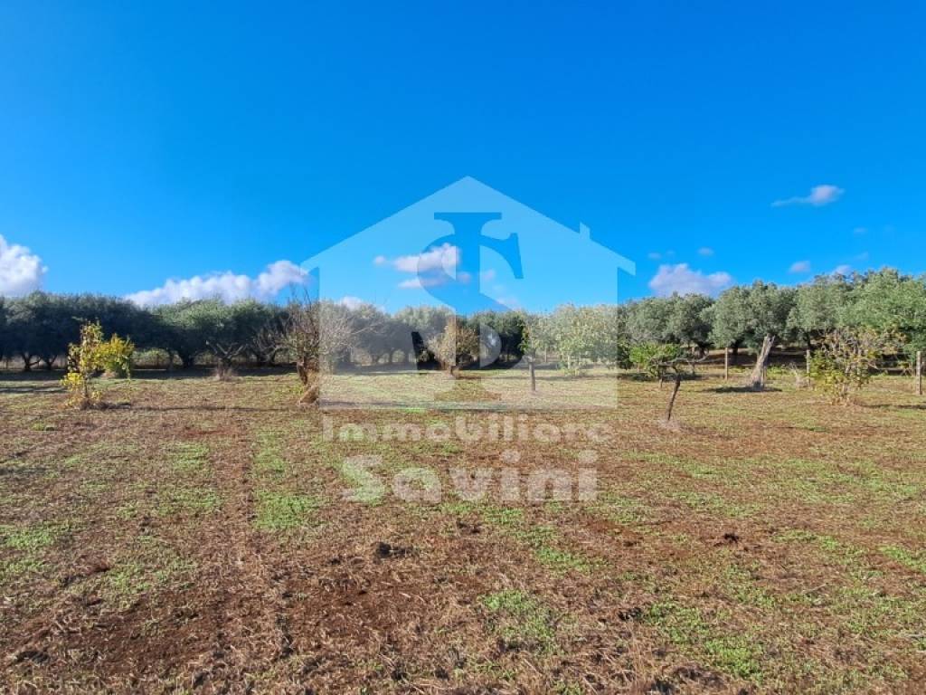 Terreno a Lanuvio in Via Solonio - Foto 3